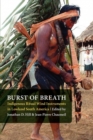 Burst of Breath : Indigenous Ritual Wind Instruments in Lowland South America - Book