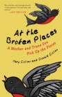 At the Broken Places : A Mother and Trans Son Pick Up the Pieces - Book