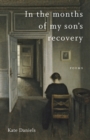 In the Months of My Son's Recovery : Poems - Book