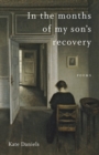 In the Months of My Son's Recovery : Poems - eBook