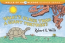 Whats Older Than A Tortoise? : Mystery of Time - Book