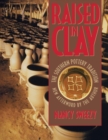 Raised in Clay : The Southern Pottery Tradition - Book