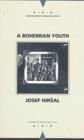 A Bohemian Youth - Book
