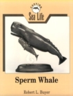Carving Sea Life : Sperm Whale - Book