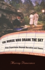 The Horse Who Drank the Sky : Film Experience Beyond Narrative and Theory - Book