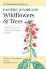 An Illustrated Guide to Eastern Woodland Wildflowers and Trees : 350 Plants Observed at Sugarloaf Mountain, Maryland - Book