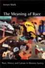 The Meaning of Race : Race, History, and Culture in Western Society - Book