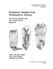 Prehistoric Sandals from Northeastern Arizona : The Earl H. Morris and Ann Axtell Morris Research - eBook