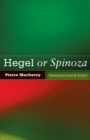 Hegel or Spinoza - Book