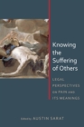 Knowing the Suffering of Others : Legal Perspectives on Pain and Its Meanings - eBook
