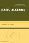 Basic Algebra - eBook