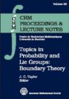 Topics in Probability and Lie Groups : Boundary Theory - Book