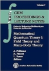 Mathematical Quantum Theory I : Field Theory and Many-Body Theory - Book