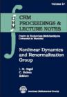 Nonlinear Dynamics and Renormalization Group - Book