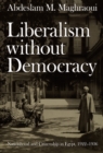 Liberalism without Democracy : Nationhood and Citizenship in Egypt, 1922-1936 - Book