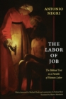 The Labor of Job : The Biblical Text as a Parable of Human Labor - Book