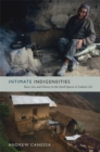 Intimate Indigeneities : Race, Sex, and History in the Small Spaces of Andean Life - Book