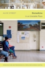 Biomedicine in an Unstable Place : Infrastructure and Personhood in a Papua New Guinean Hospital - eBook