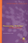 Phenomenology "Wide Open" : After the French Debate - Book