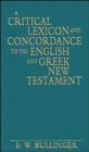 A Critical Lexicon and Concordance to the English and Greek New Testament - Book