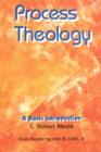 Process Theology; A Basic Introduction - Book