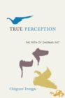 True Perception - eBook