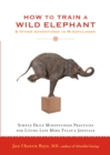 How to Train a Wild Elephant - eBook