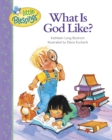 What is God Like? - Book