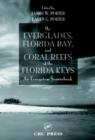 The Everglades, Florida Bay, and Coral Reefs of the Florida Keys : An Ecosystem Sourcebook - Book