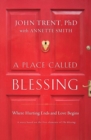 A Place Called Blessing : Where Hurting Ends and Love Begins - Book