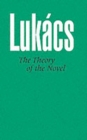 Theory of the Novel - Book