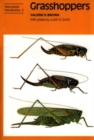 Grasshoppers - Book