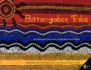 Bittangabee Tribe : An Aboriginal story from Coastal New South Wales - Book