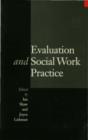 Evaluation and Social Work Practice - eBook