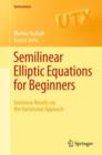 Semilinear Elliptic Equations for Beginners : Existence Results via the Variational Approach - Book