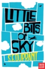 Little Bits of Sky - eBook