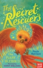 The Secret Rescuers: The Baby Firebird - Book