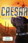 Caesar the War Dog 4: Operation Green Parrot - eBook