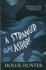 A Stranger Came Ashore - Book