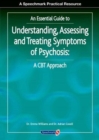 Symptoms of Psychosis : A Handbook for Understanding, Assessment, Therapy and Management - Book