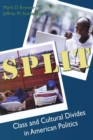 Split : Class and Cultural Divides in American Politics - Book