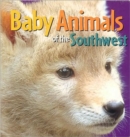 Baby Animals of the Southwest - Book