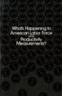 What's Happening to American Labor Force and Productivity Measurements? - eBook