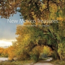 New Mexico Treasures : 2019 Engagement Calendar - Book