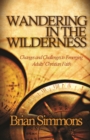 Wandering in the Wilderness : Changes and Challenges to Emerging Adults' Christian Faith - eBook