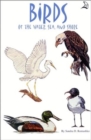 Birds of the Water, Sea, and Shore - Book