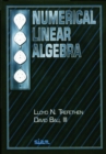 Numerical Linear Algebra - Book
