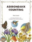 Adirondack Counting Book - Book