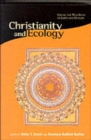 Christianity and Ecology : Seeking the Well-Being of Earth and Humans - Book