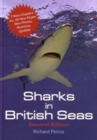 Sharks in British Seas - Book